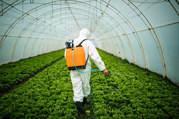 Best Residential Pest Control  in Germantown Hls, IL