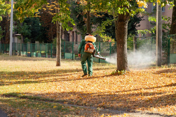 Best Flea Control Services  in Germantown Hls, IL