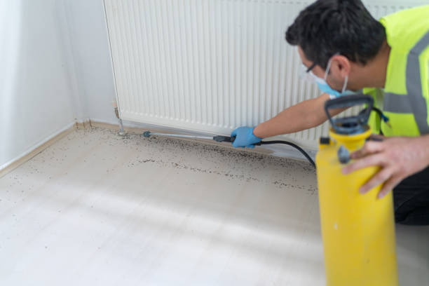 Best Pest Prevention Services  in Germantown Hls, IL