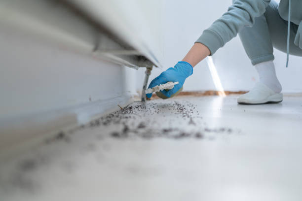 Best Pest Removal Services  in Germantown Hls, IL