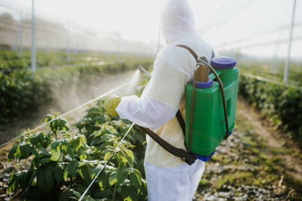 Pest Prevention Services in Germantown Hills, IL